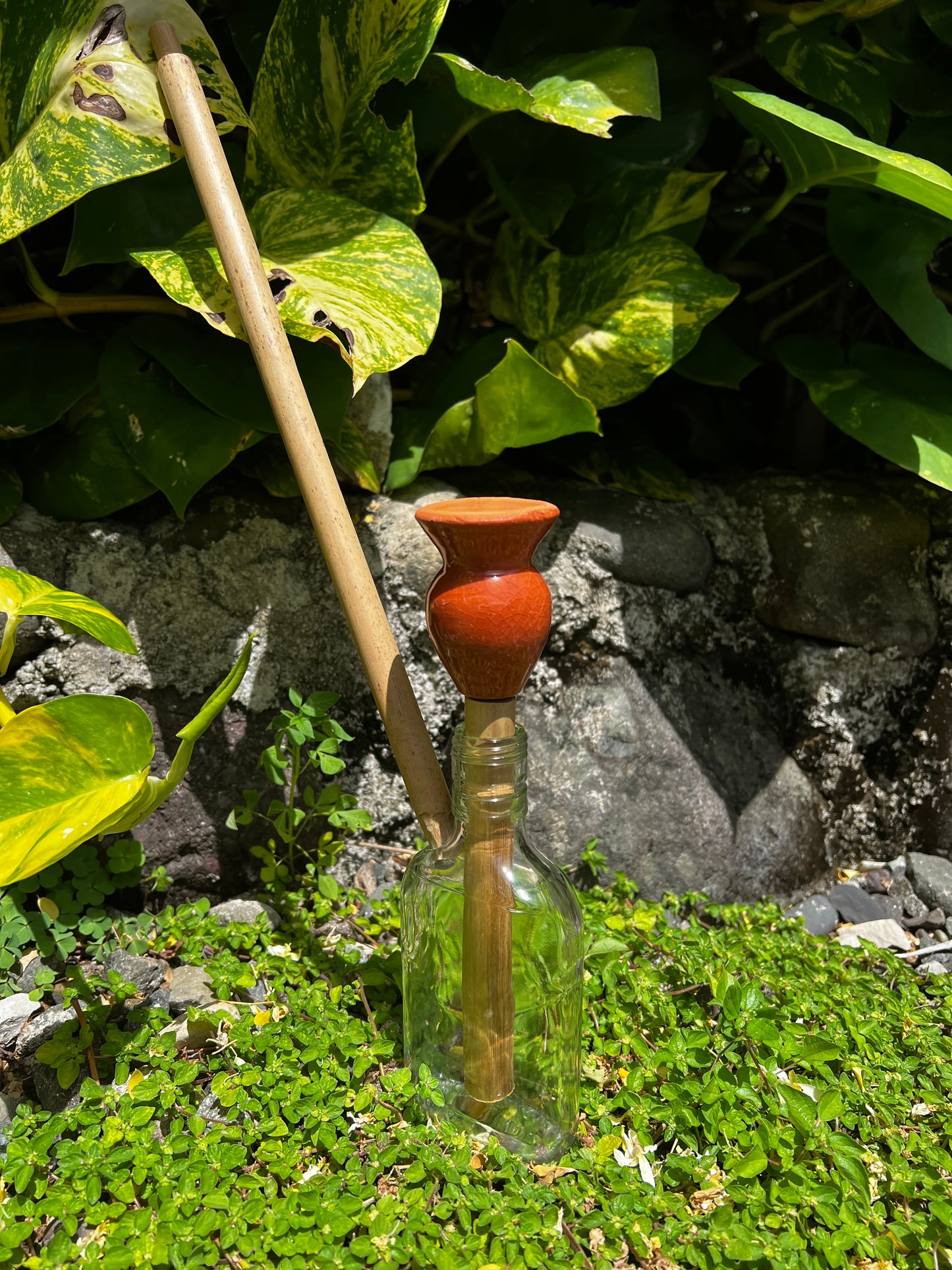 Likkle Ites Glass Steam Chalice