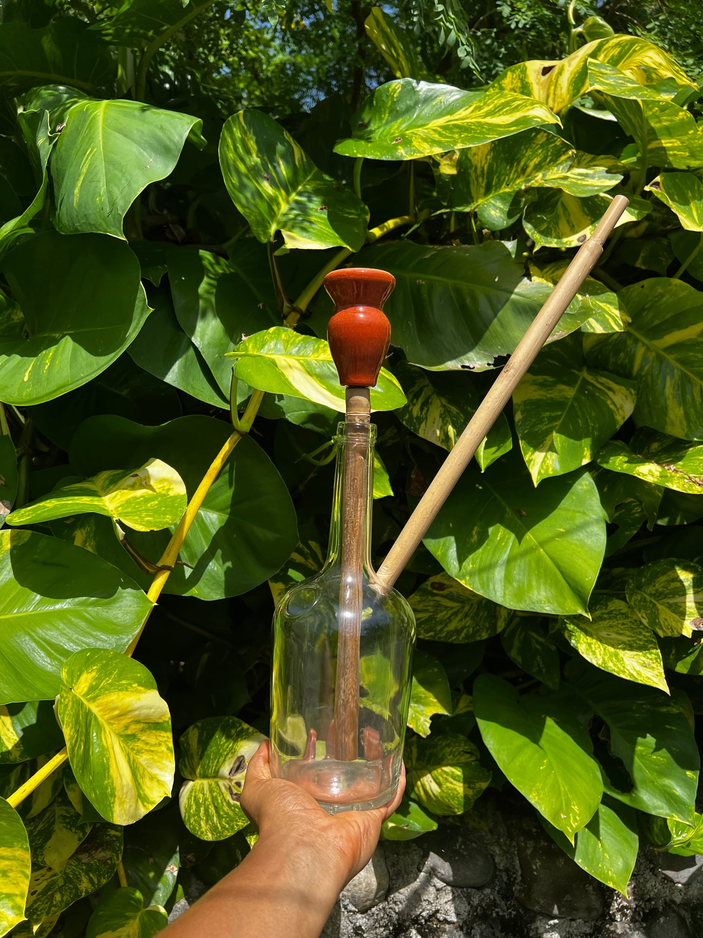 Henny Ina Honey Glass Steam Chalice