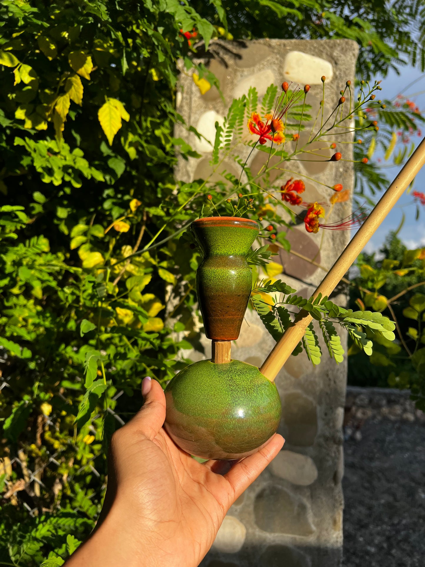 Rootical Green Steamaz