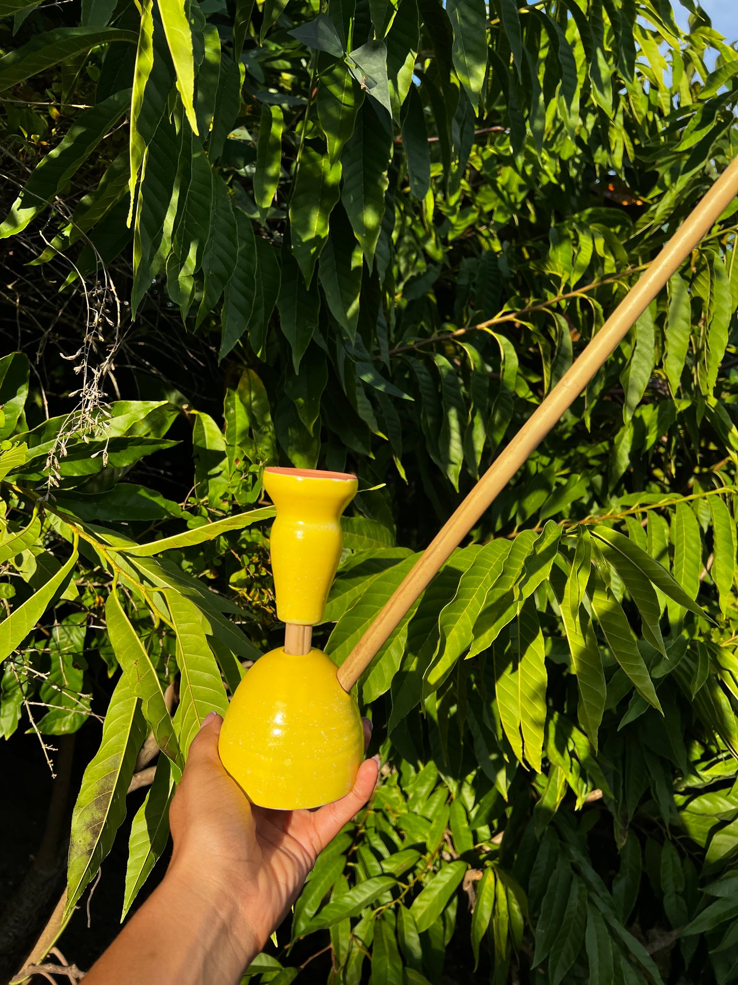 Livity Light Steamaz