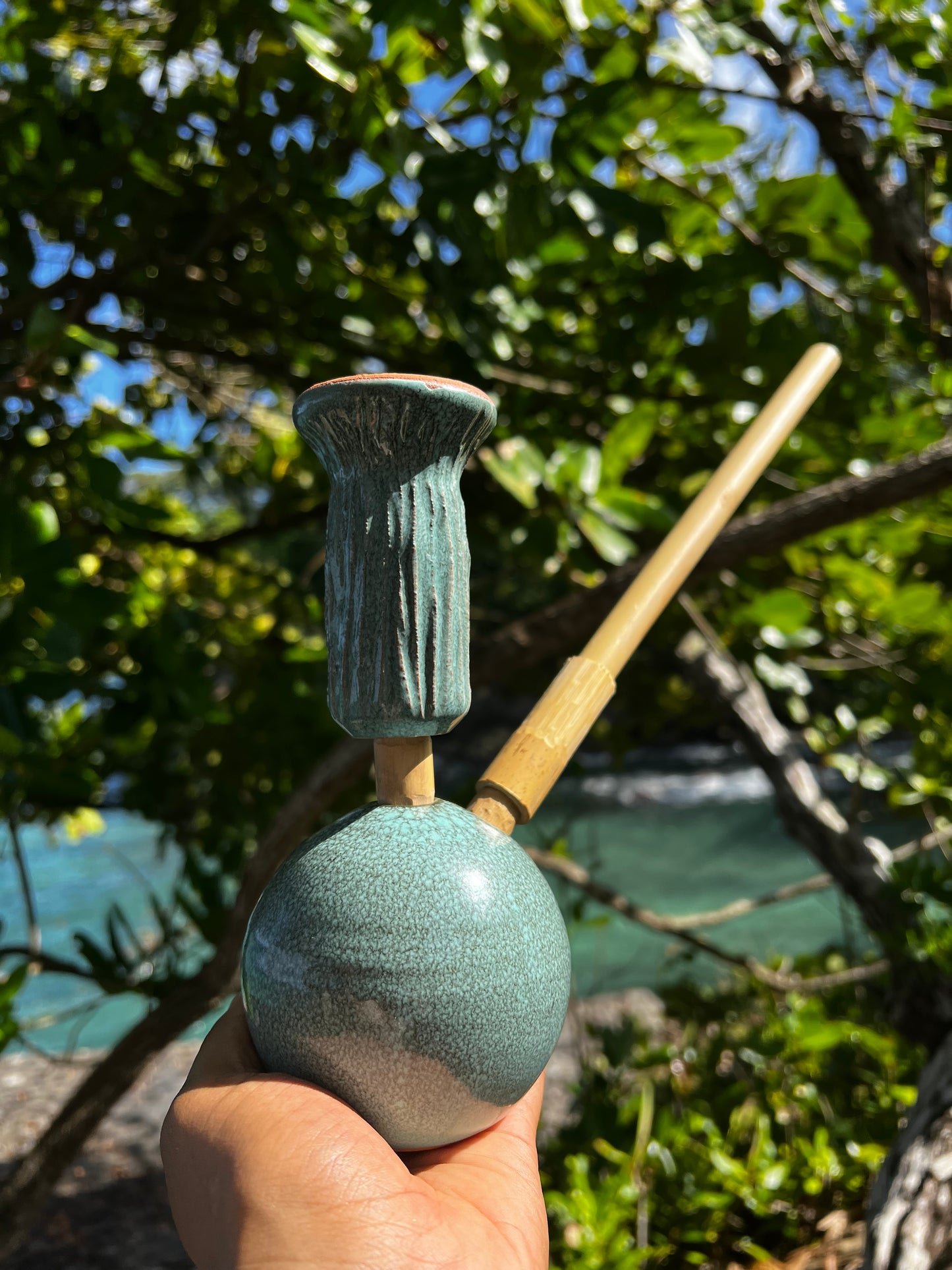 Salted Earth Steamaz