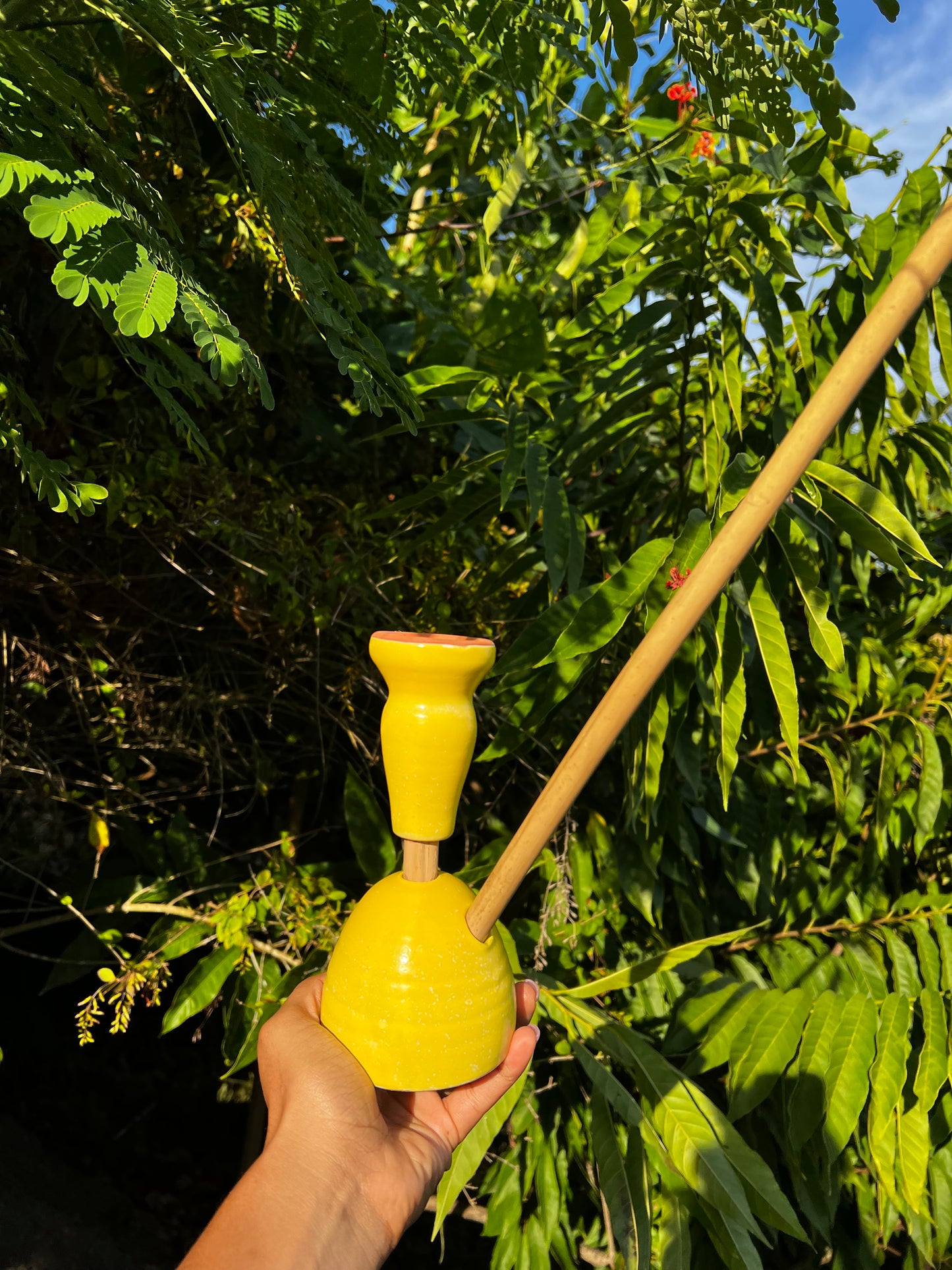 Livity Light Steamaz