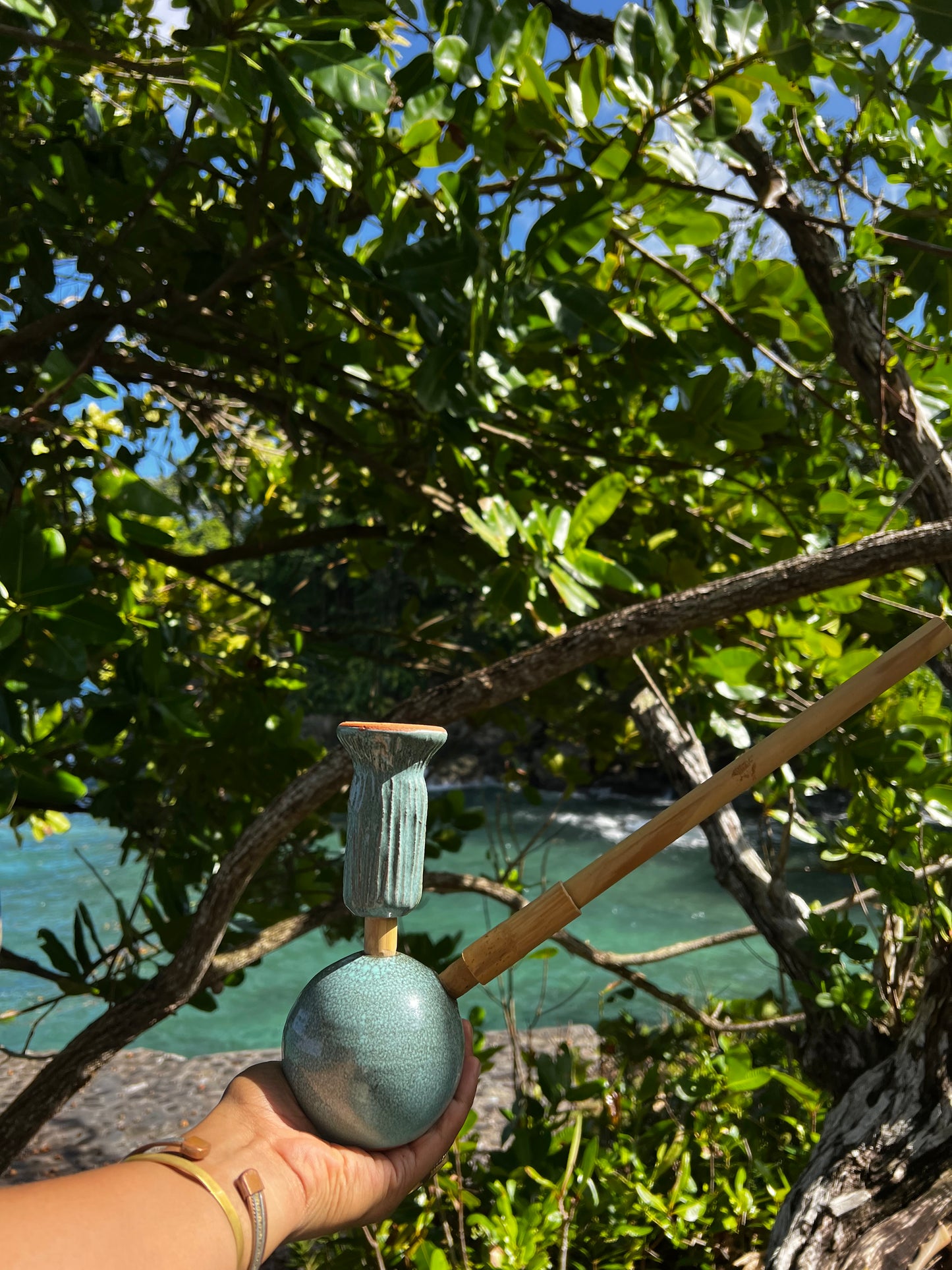 Salted Earth Steamaz