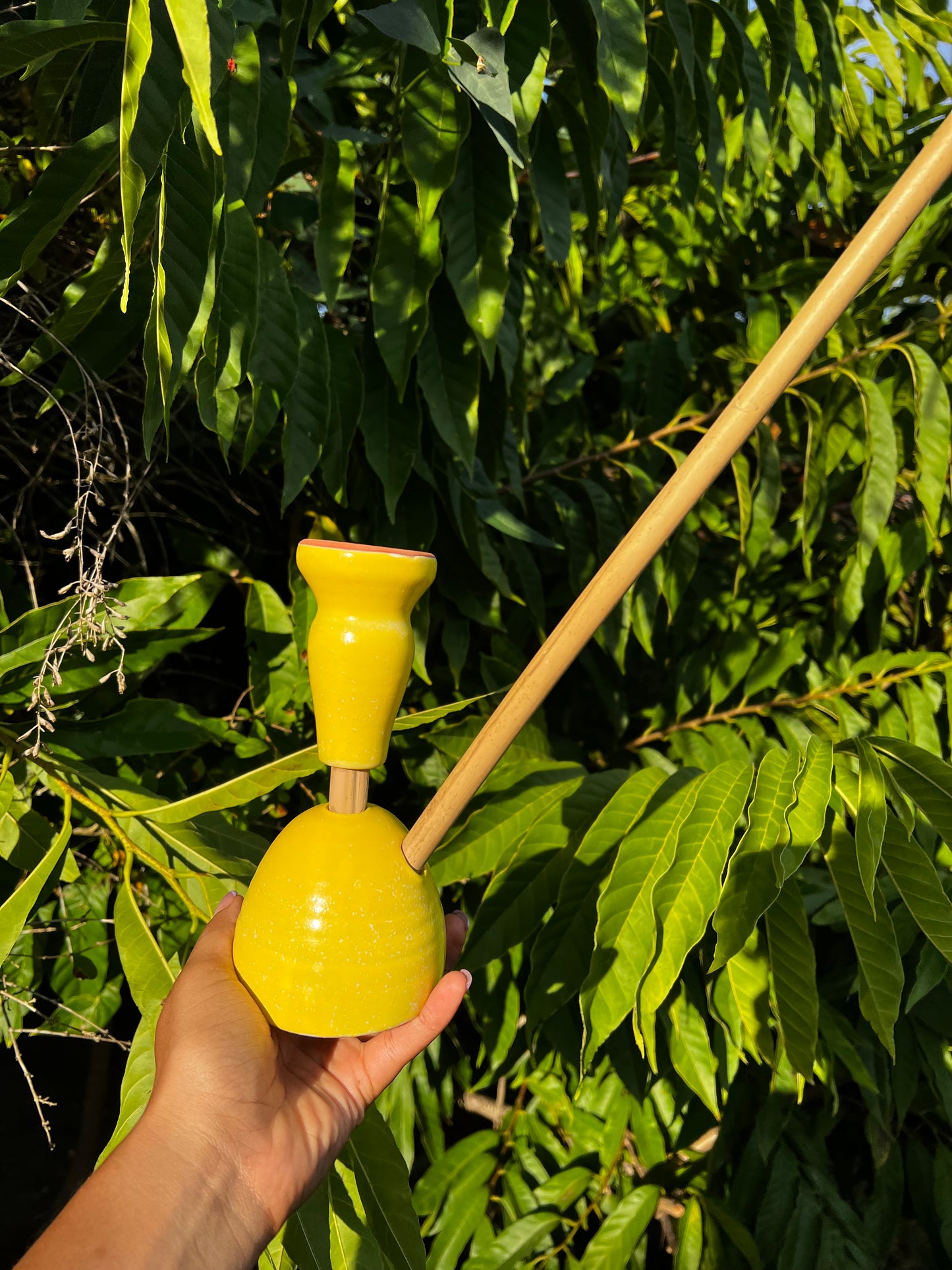 Livity Light Steamaz