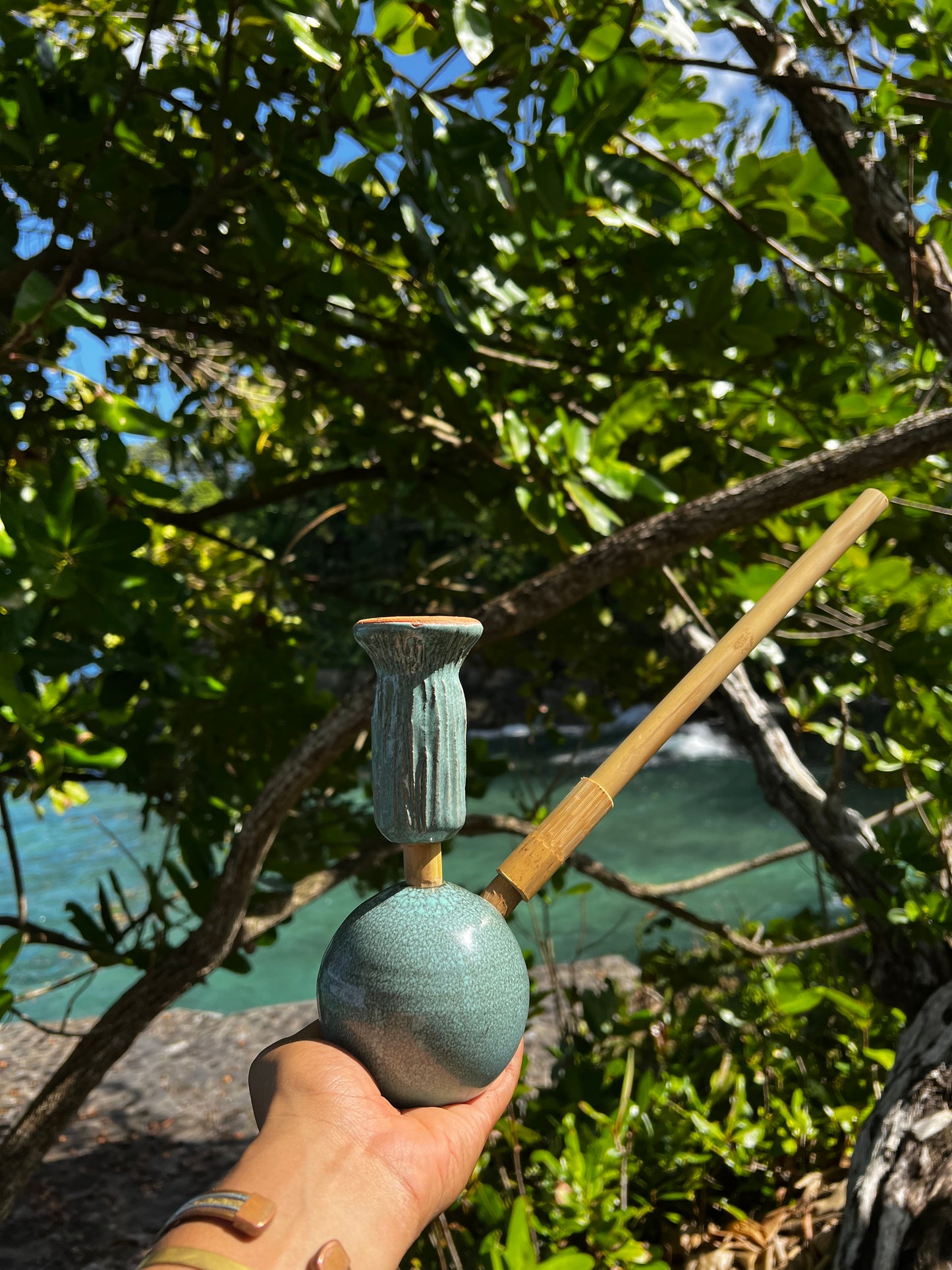 Salted Earth Steamaz