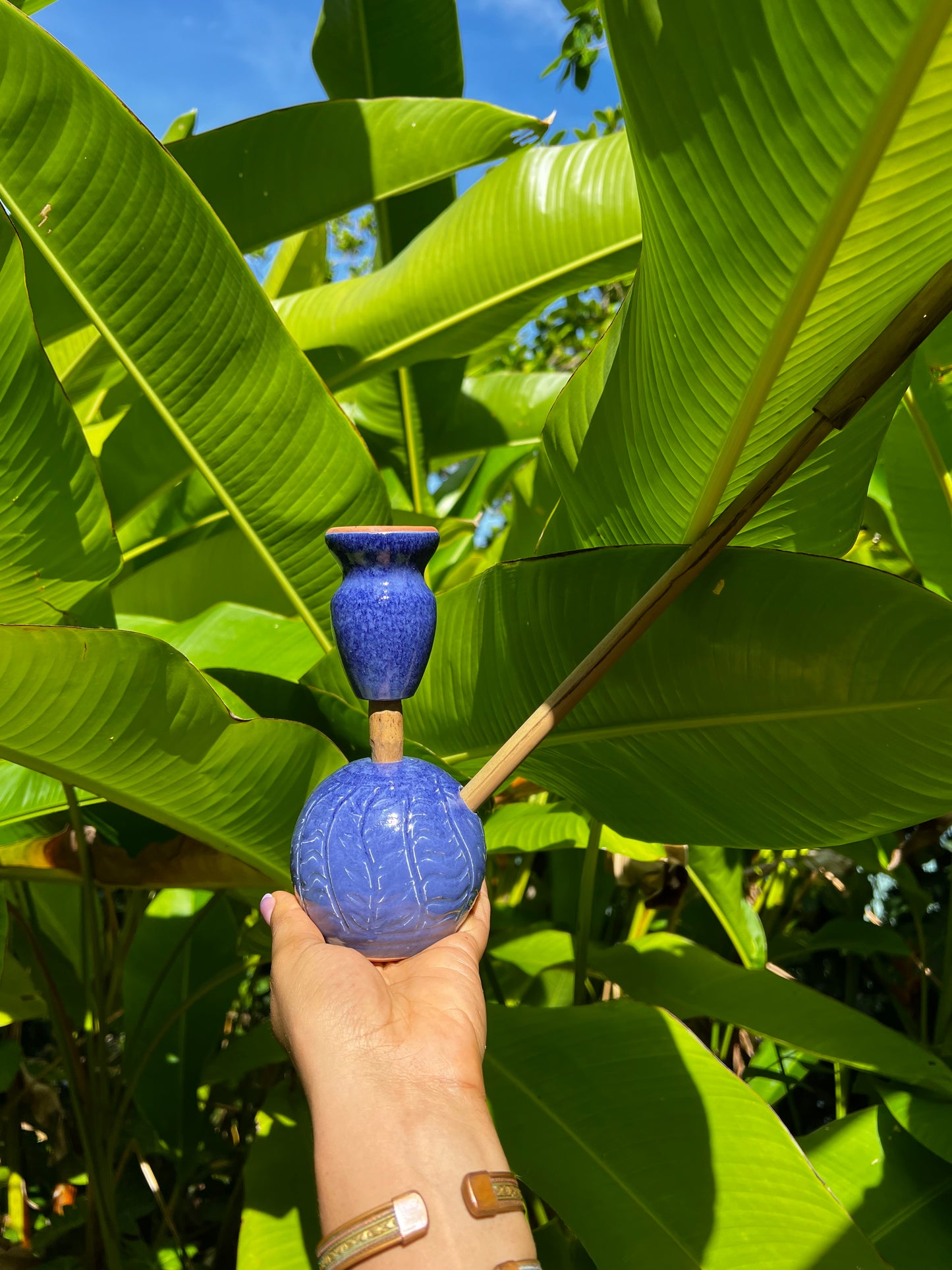 Indigo Zion Bloom Steamaz