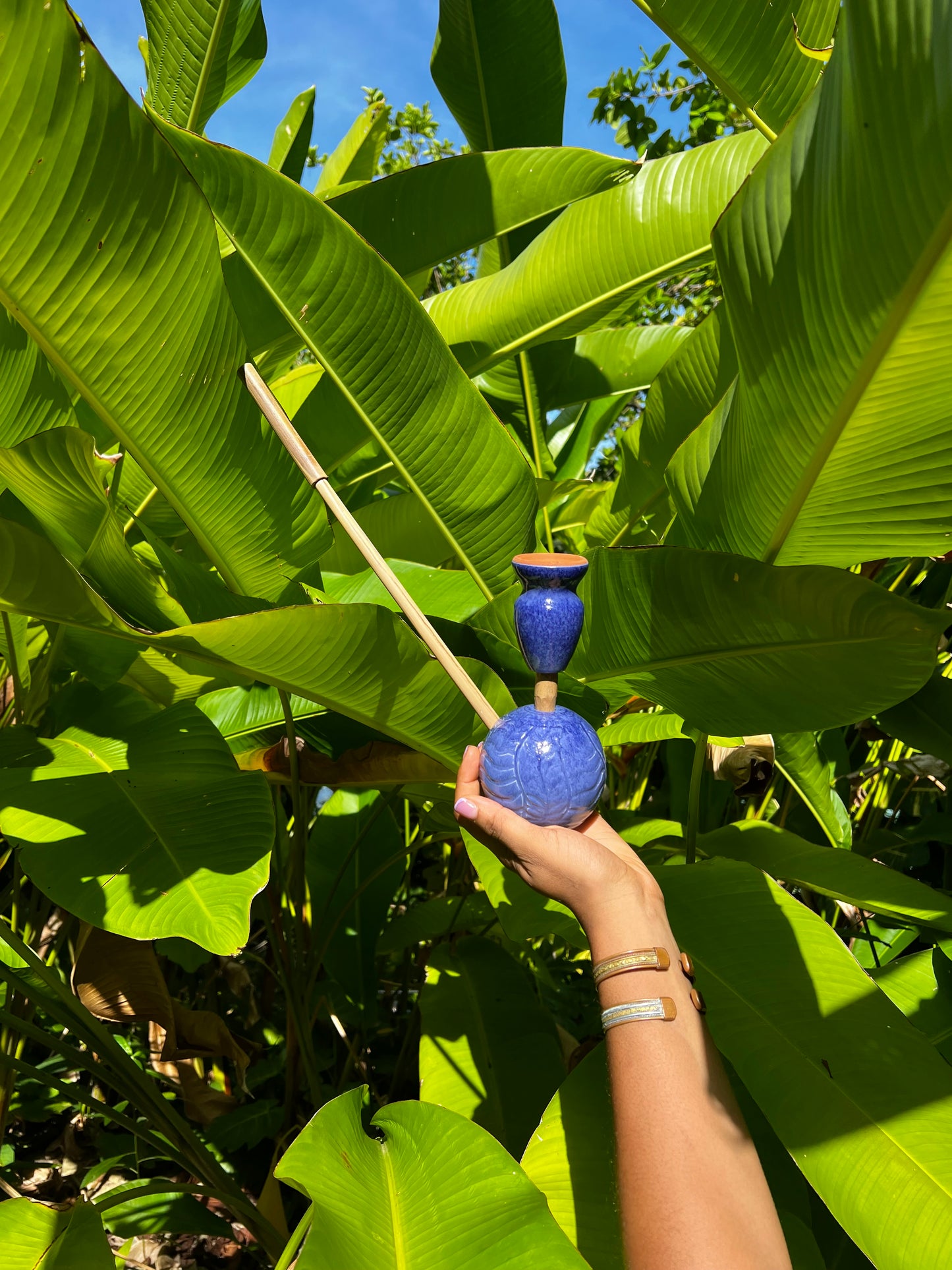 Indigo Zion Bloom Steamaz