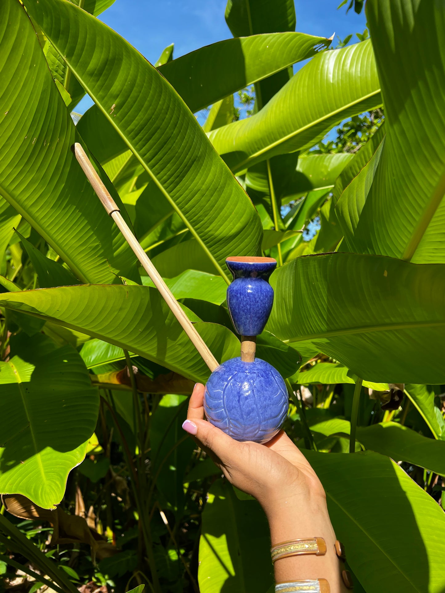 Indigo Zion Bloom Steamaz