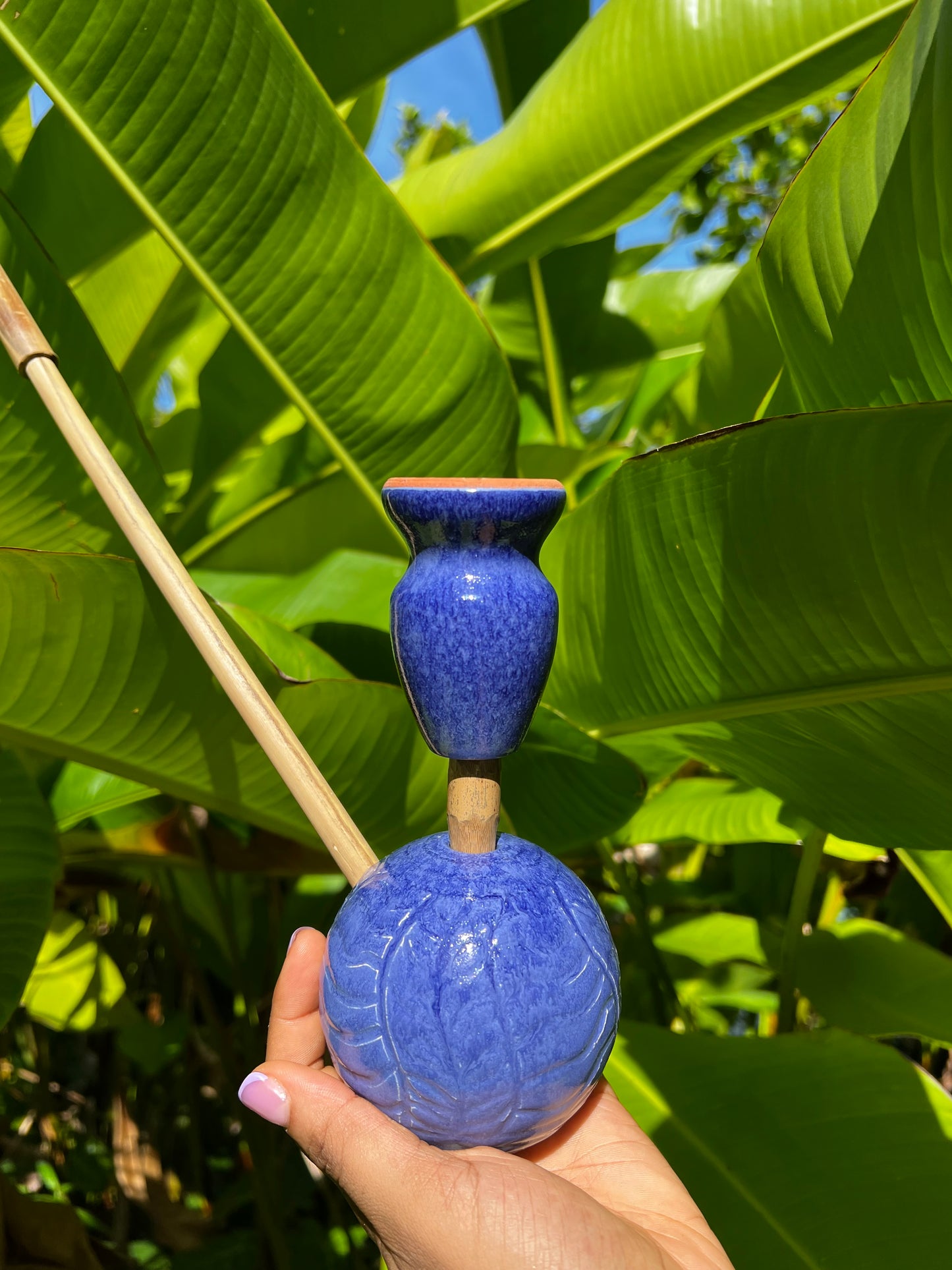 Indigo Zion Bloom Steamaz