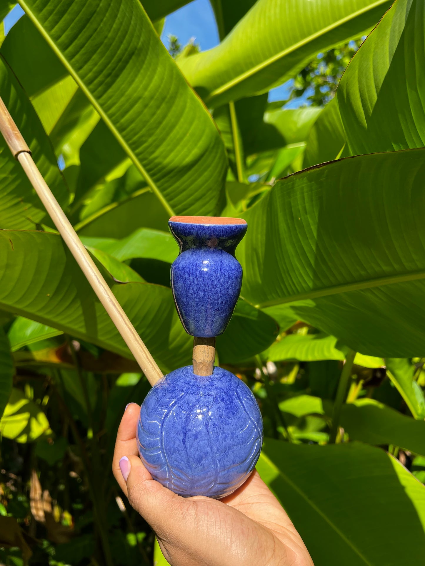 Indigo Zion Bloom Steamaz