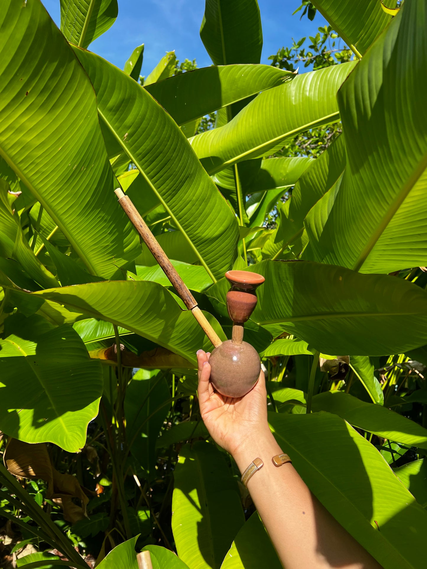 Likkle Celestial Earthy Steamaz