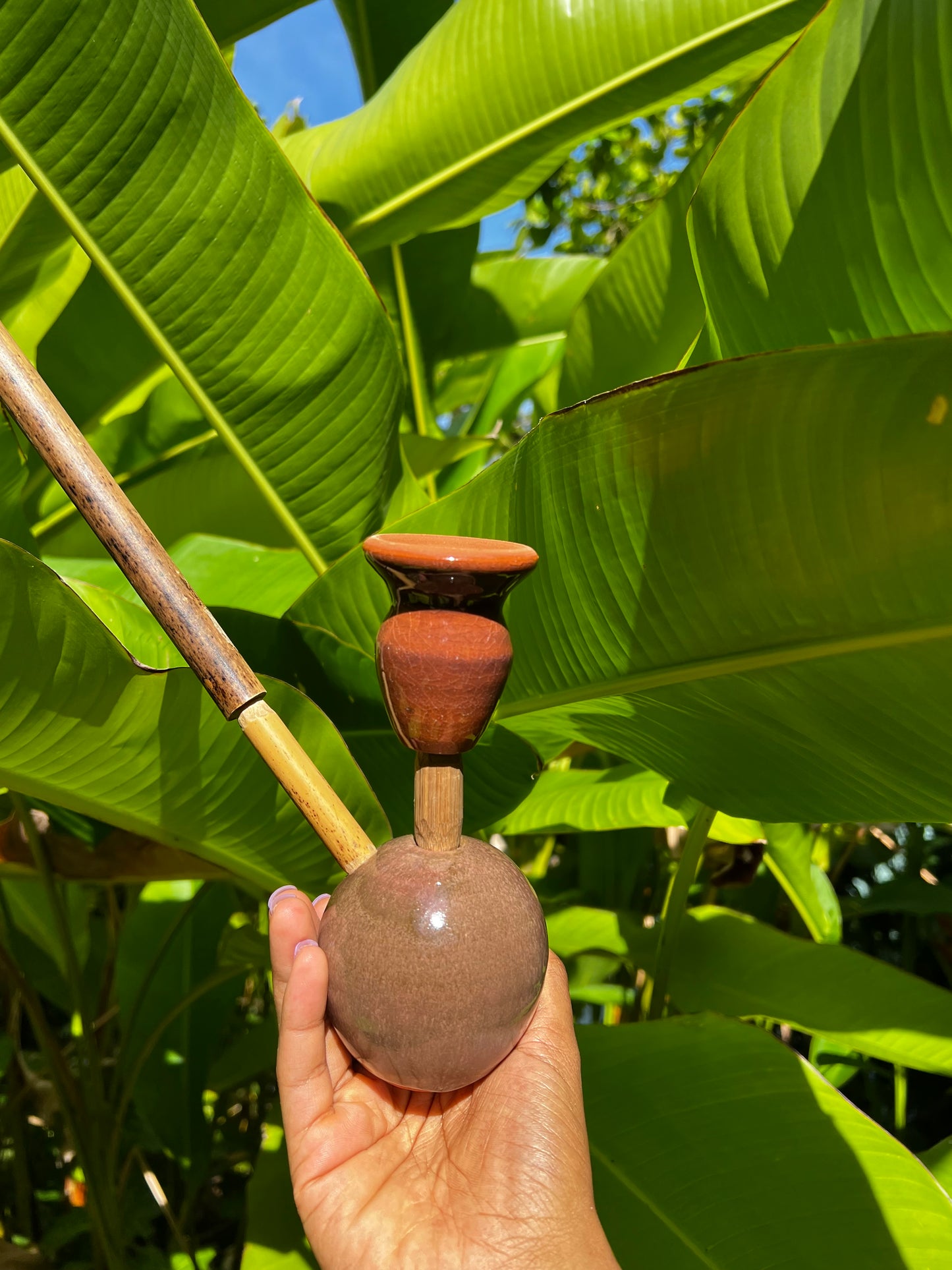 Likkle Celestial Earthy Steamaz