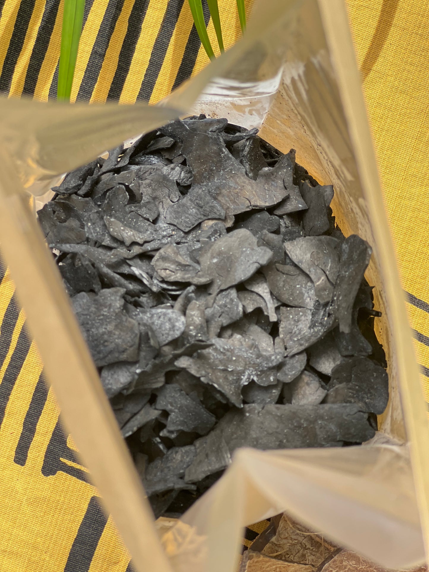 Ceremonial Activated Coconut Charcoal