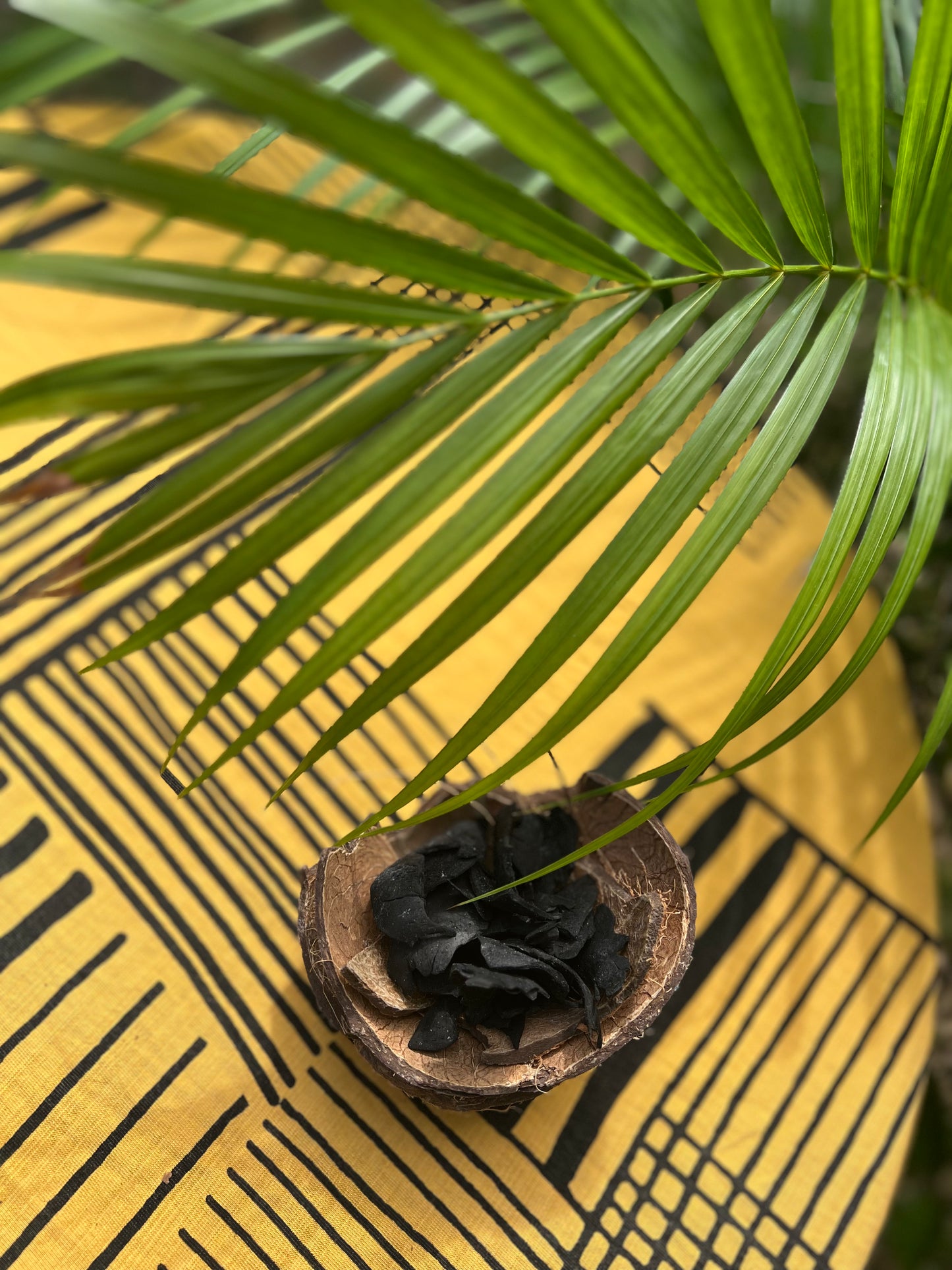 Ceremonial Activated Coconut Charcoal