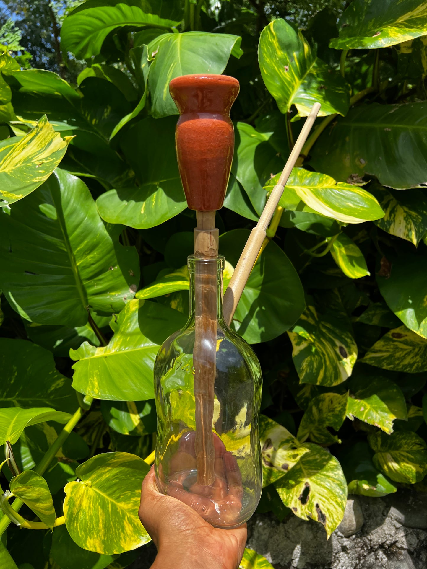 Jamaican Appleton Glass Steam Chalice