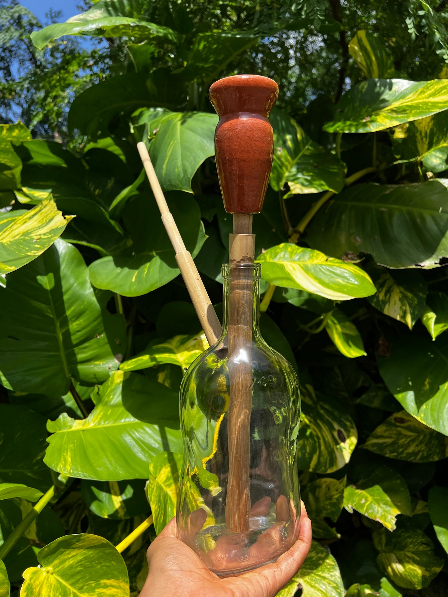 Jamaican Appleton Glass Steam Chalice