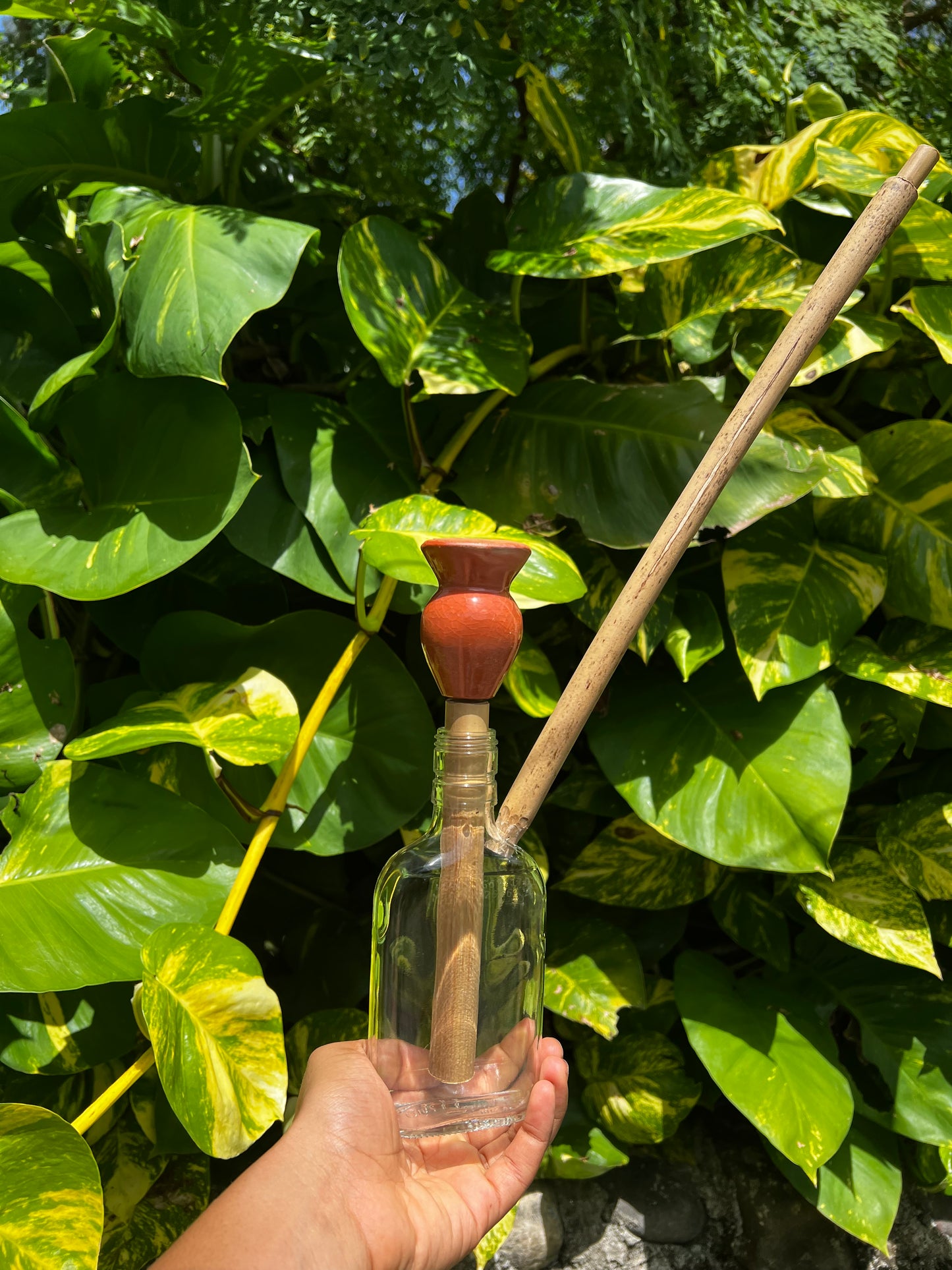 Likkle Ites Glass Steam Chalice