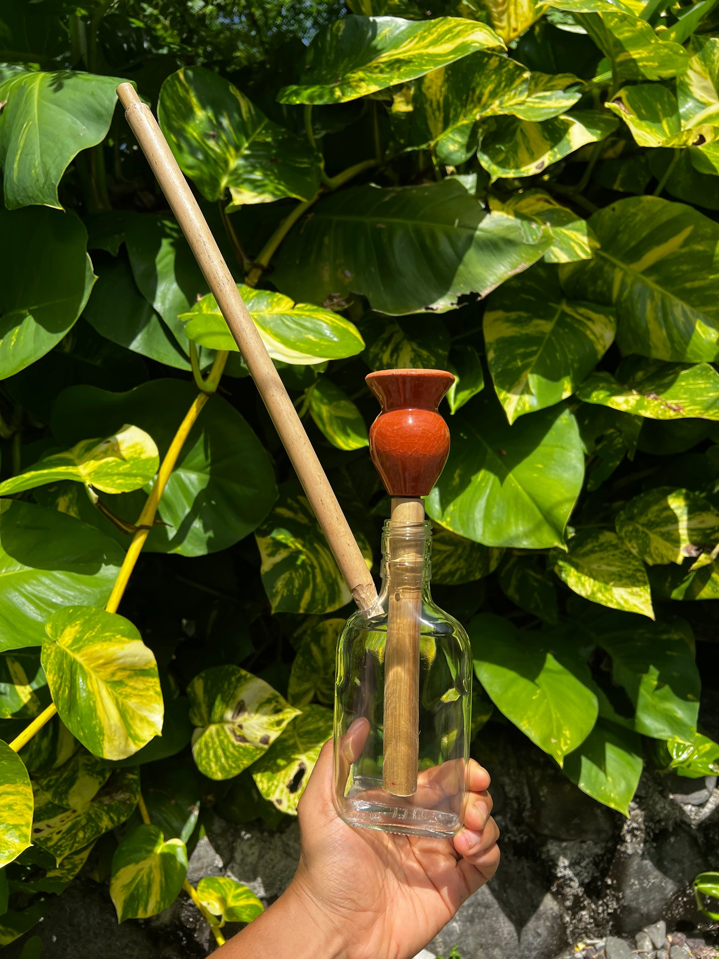 Likkle Ites Glass Steam Chalice