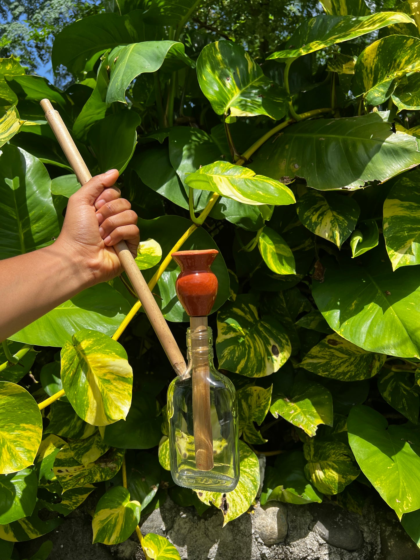 Likkle Ites Glass Steam Chalice