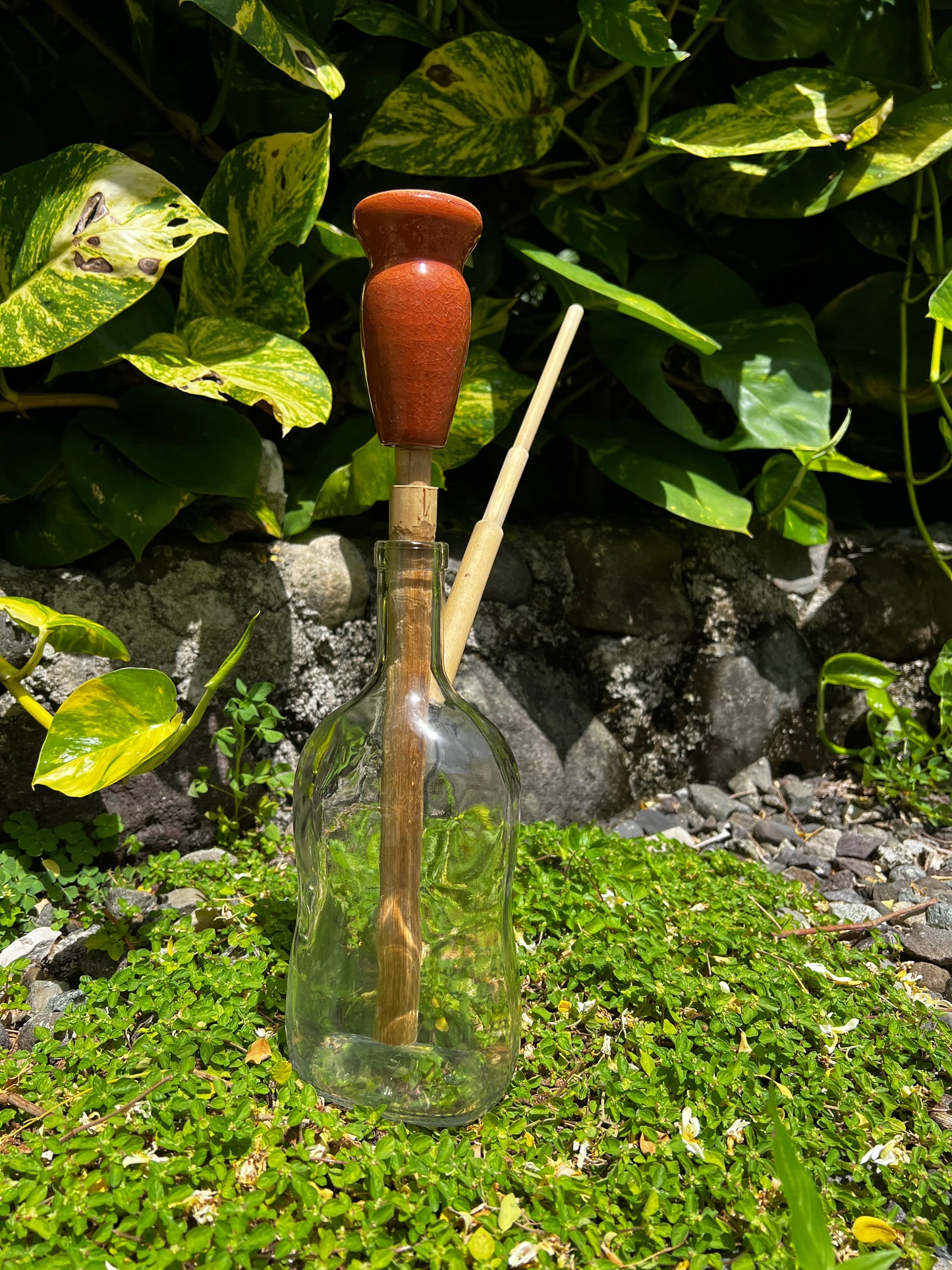 Jamaican Appleton Glass Steam Chalice