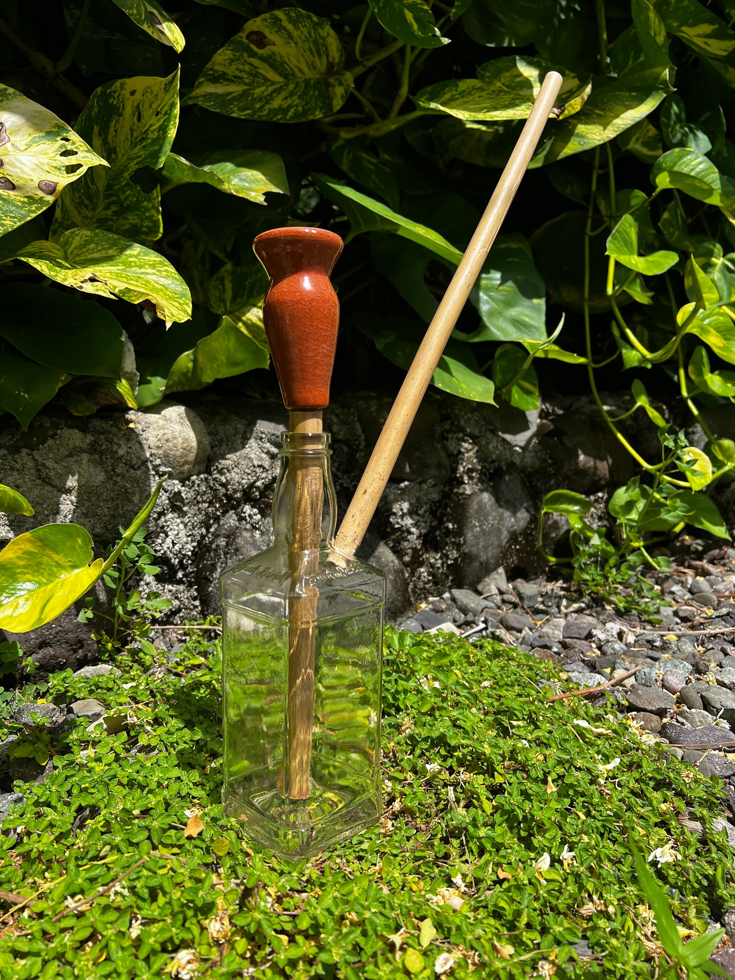 Jamrock Jack Daniel Glass Steam Chalice