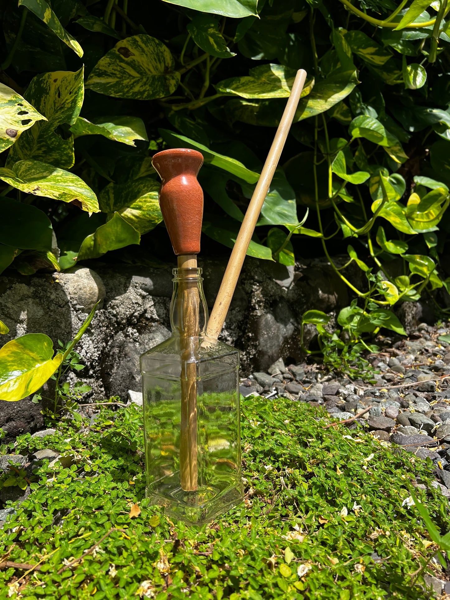 Jamrock Jack Daniel Glass Steam Chalice