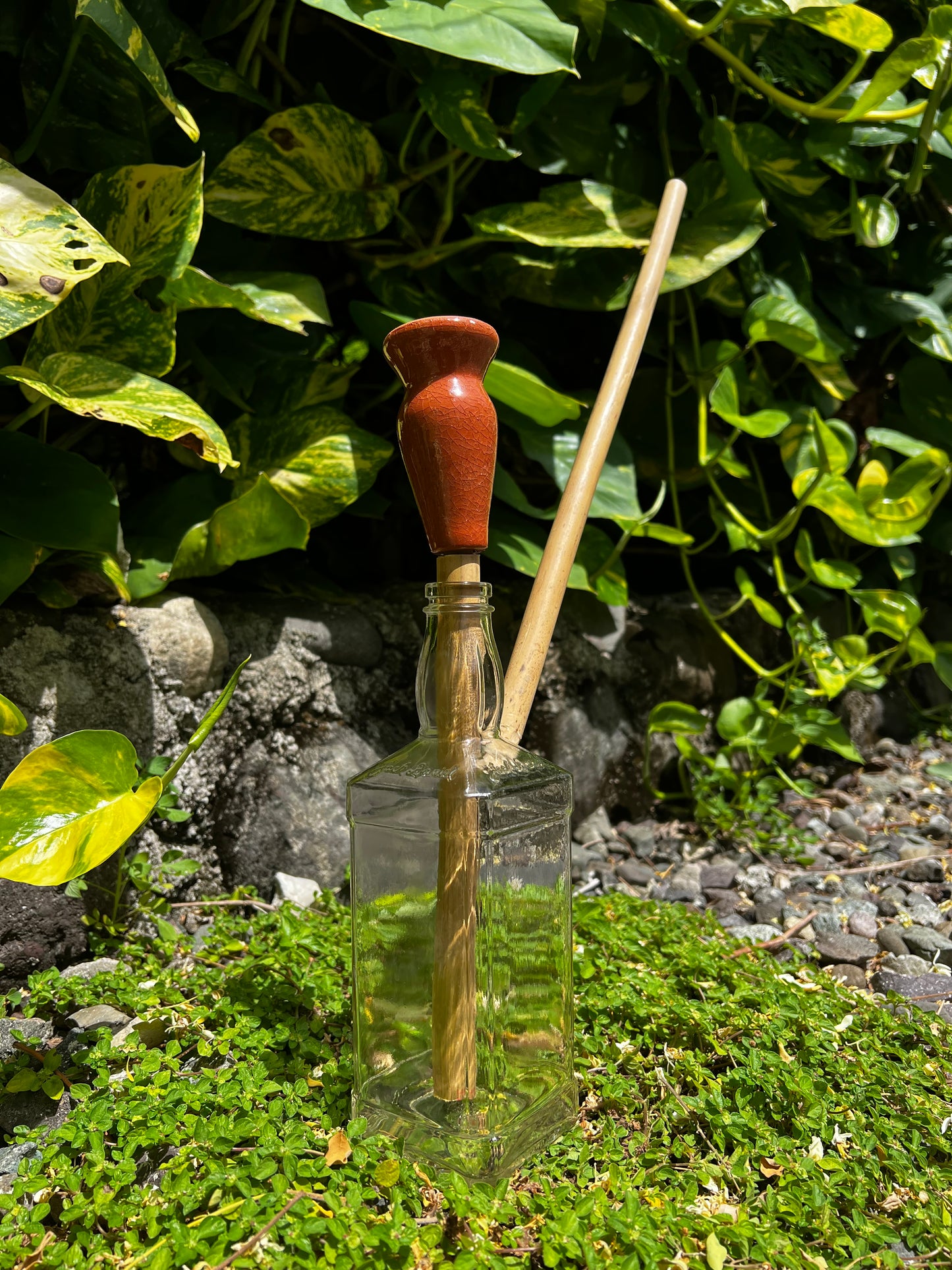 Jamrock Jack Daniel Glass Steam Chalice