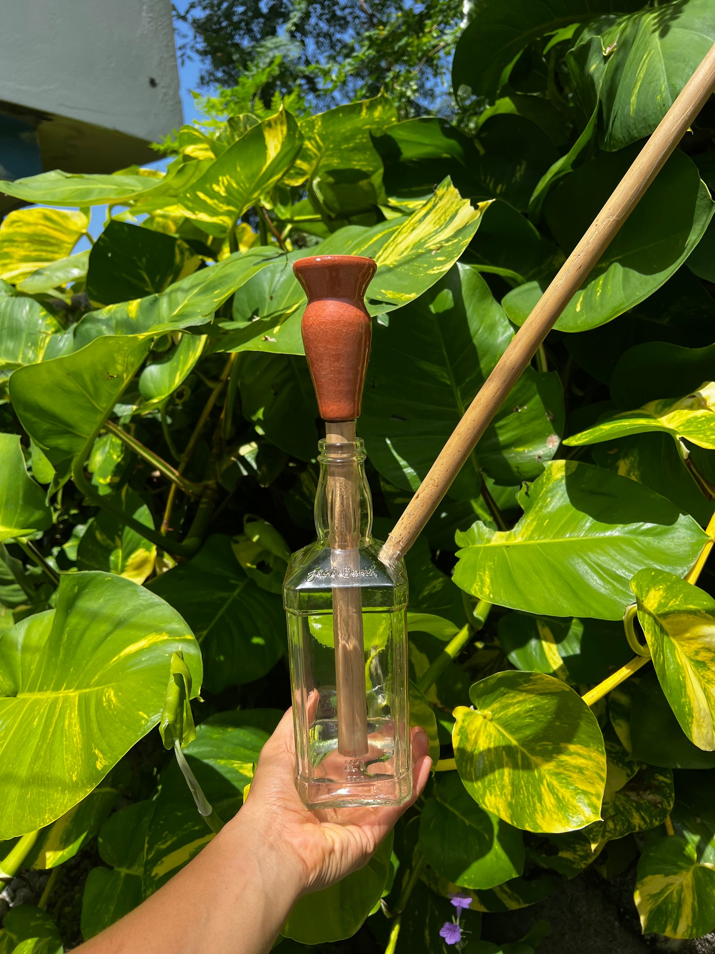 Jamrock Jack Daniel Glass Steam Chalice