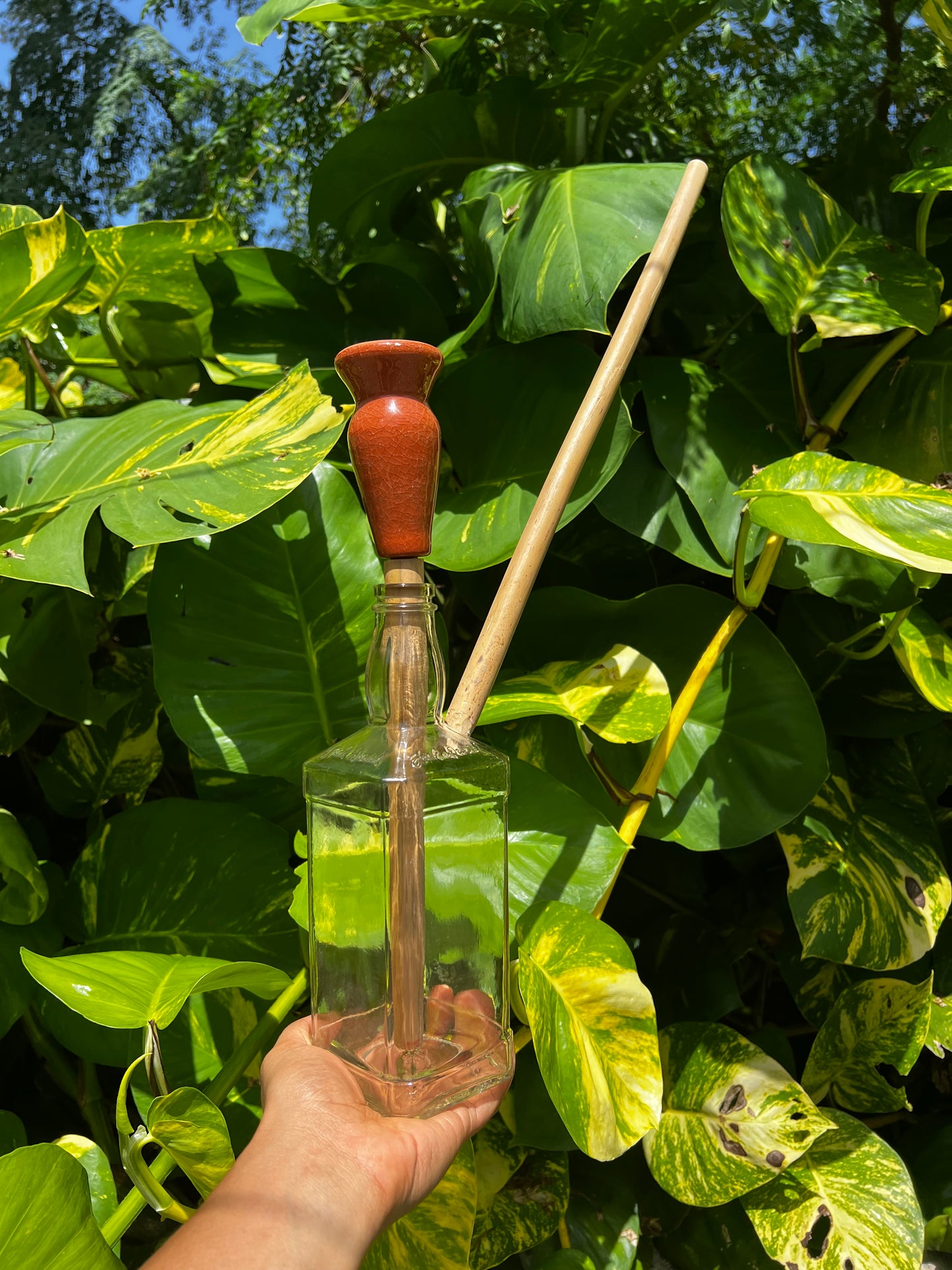 Jamrock Jack Daniel Glass Steam Chalice