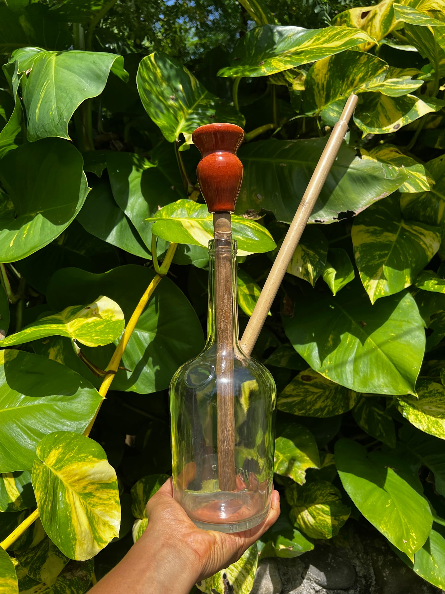 Henny Ina Honey Glass Steam Chalice