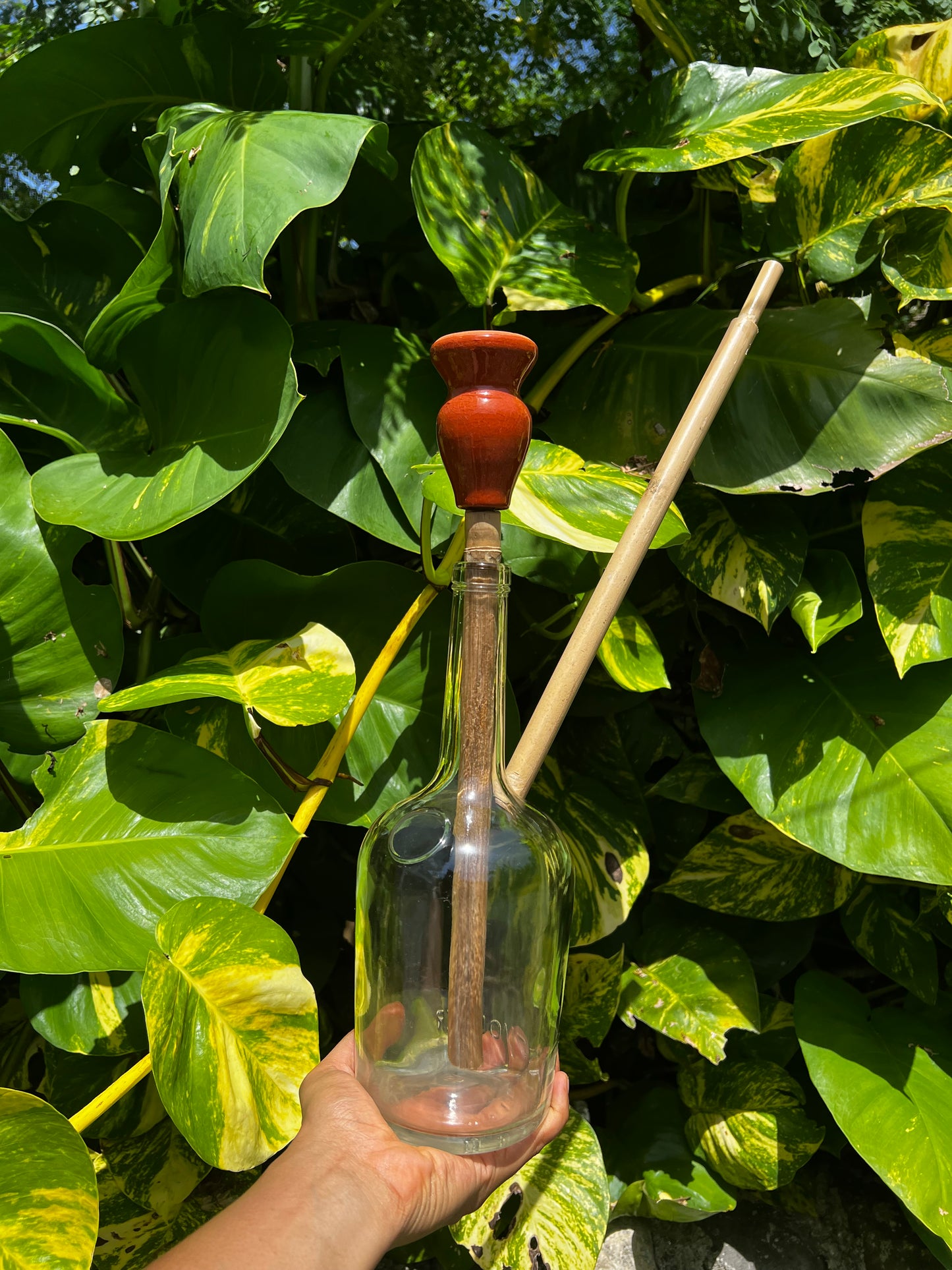 Henny Ina Honey Glass Steam Chalice