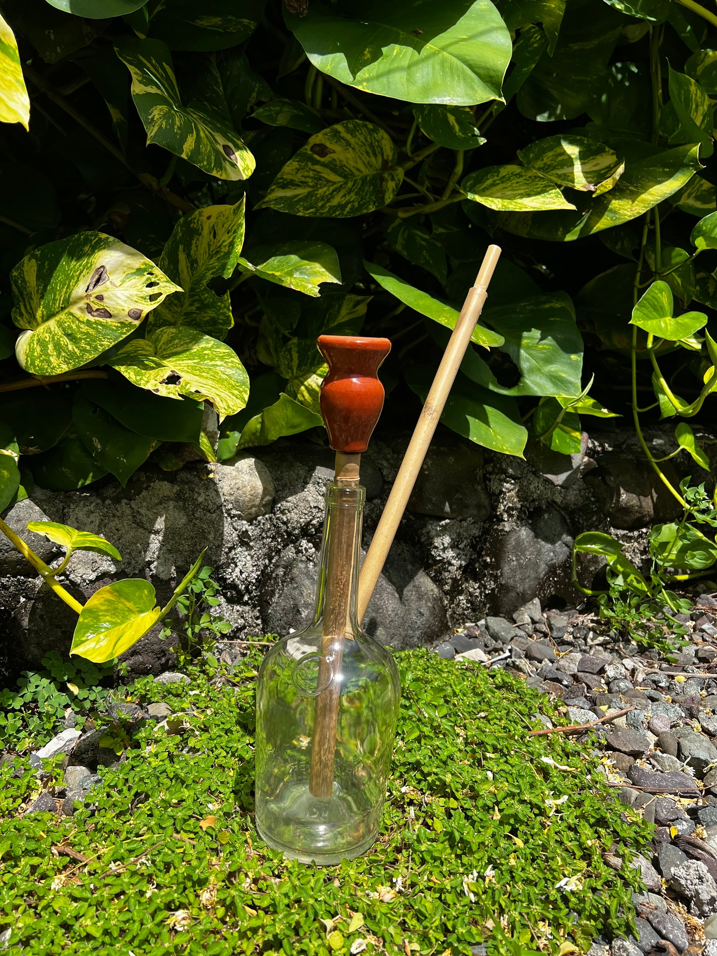 Henny Ina Honey Glass Steam Chalice